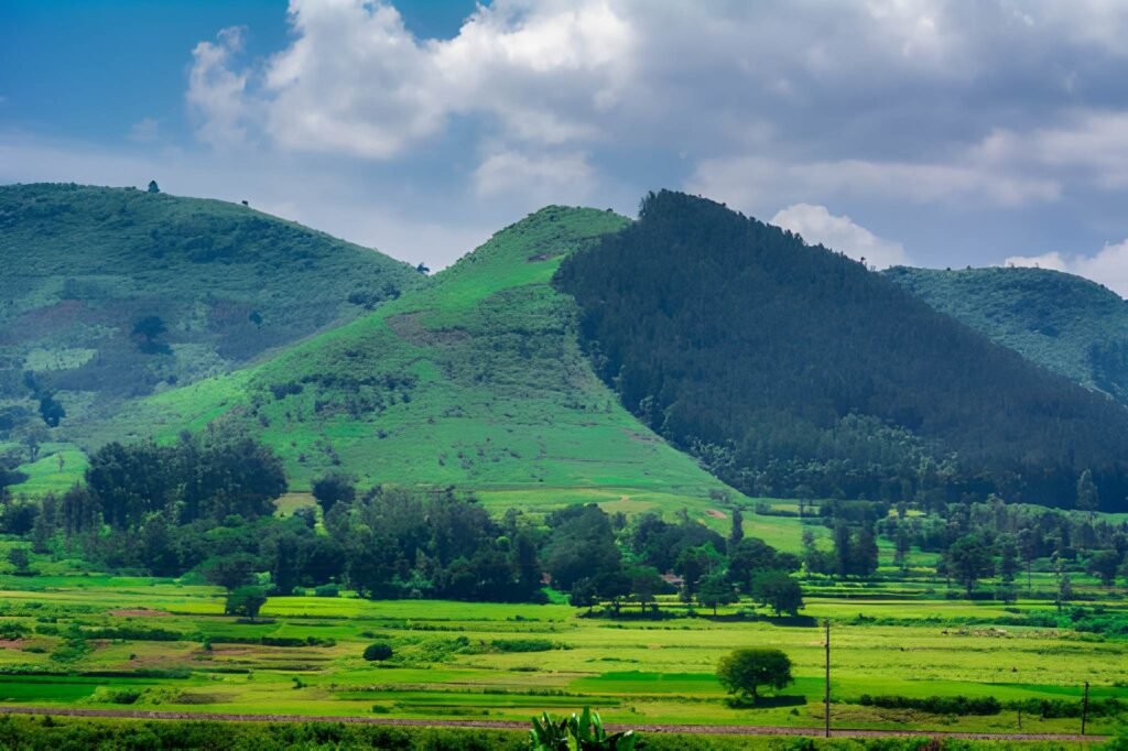 araku valley