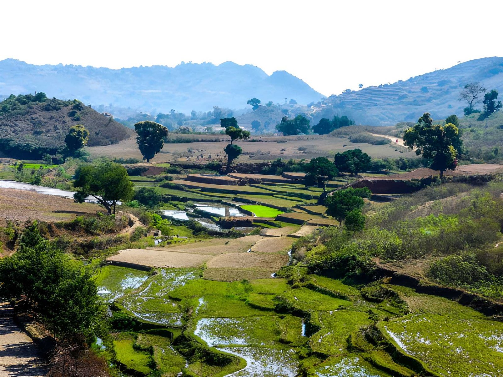 Vizag to Araku One Day Tour Package
