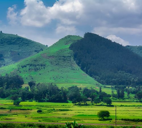 araku valley
